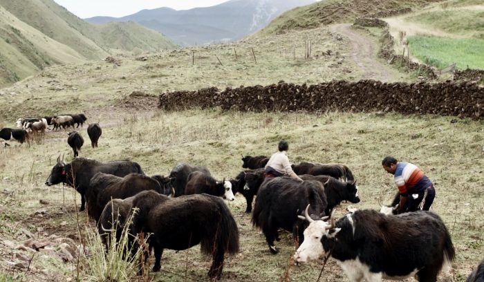 微信图片_20240622121529