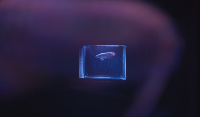 my views on the darkness15