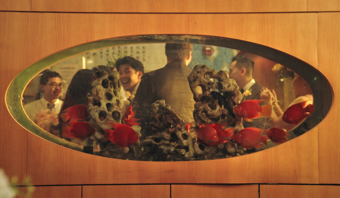 SomethingBlue_Still2