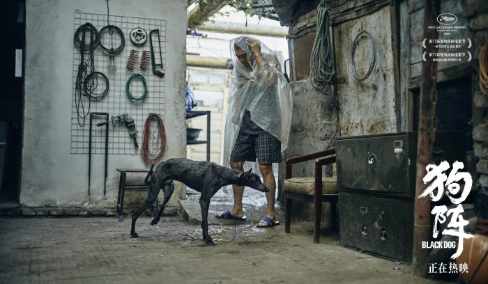 0dfdfd1080aca3ab1477e1af2055d9ad_