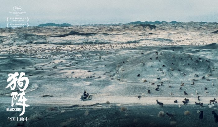 a690d349f3d3db0605fa0c866fce5c9e_