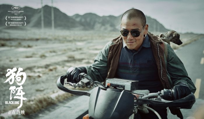 b056845cee0256a11bb7fc666082bca6_